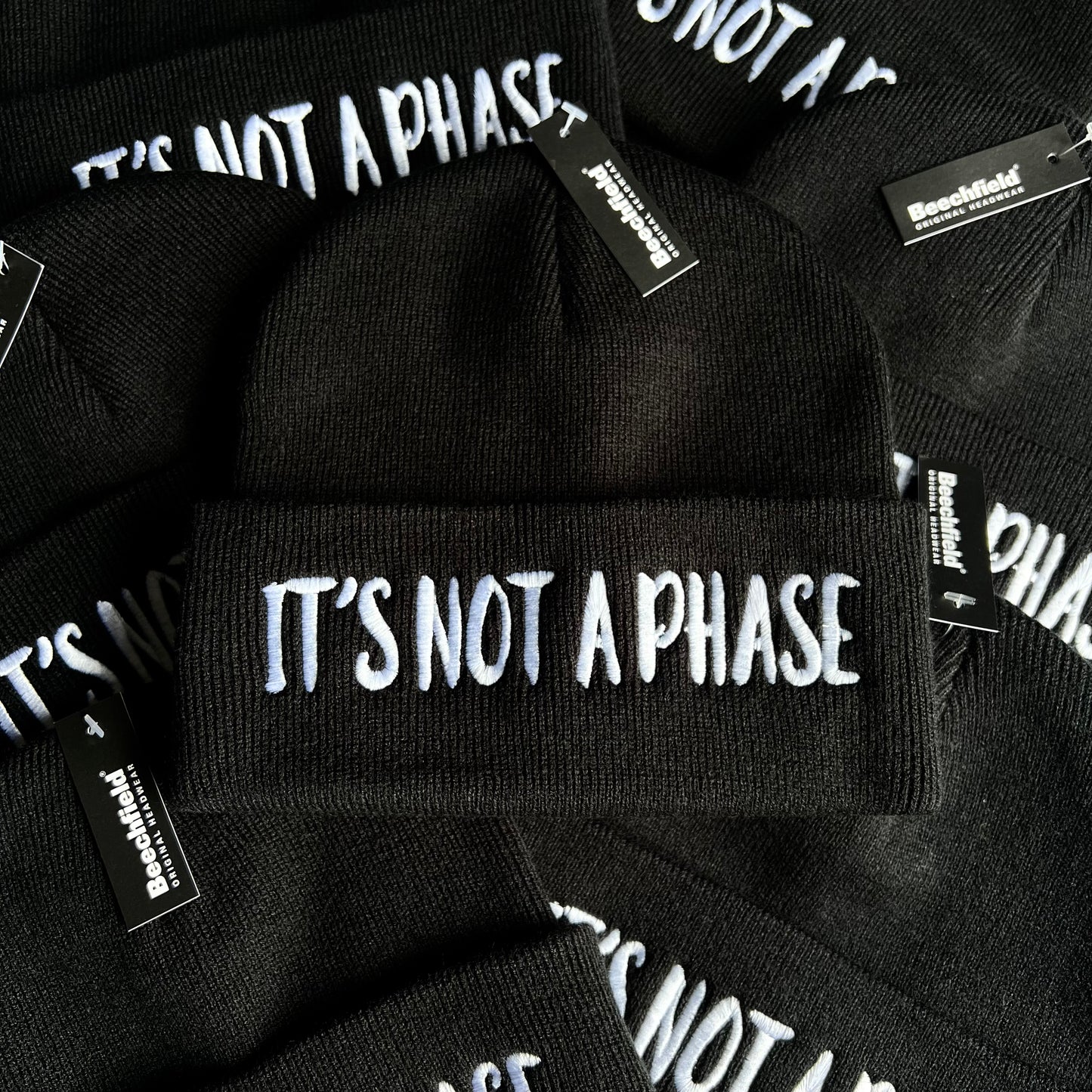 It’s Not A Phase Beanie